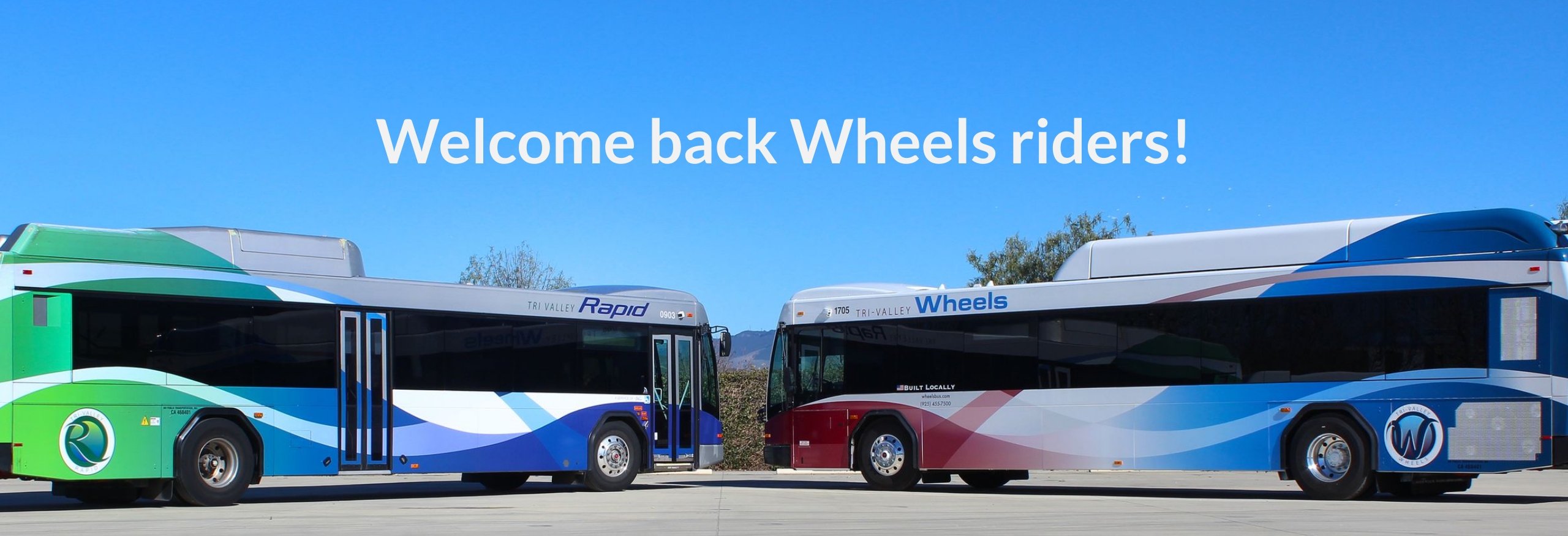 Wheels Rapid Bus Image